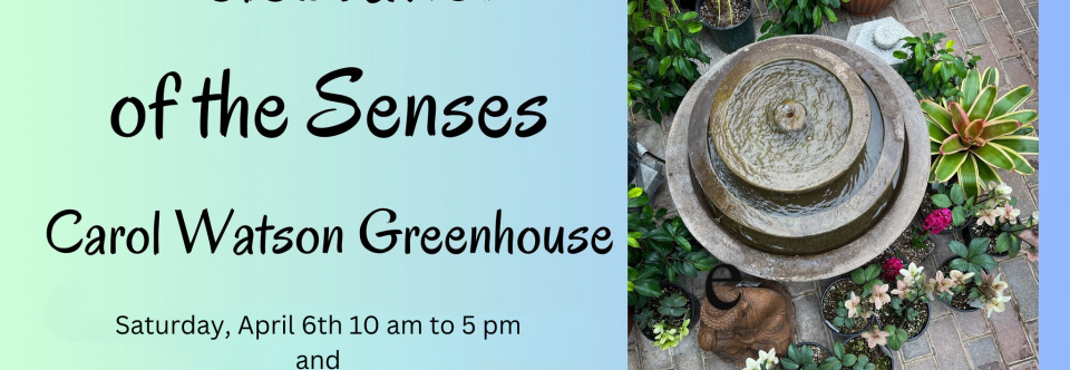Carol Watson Greenhouse’s Celebration of the Senses –  Fundraiser for Francis House
